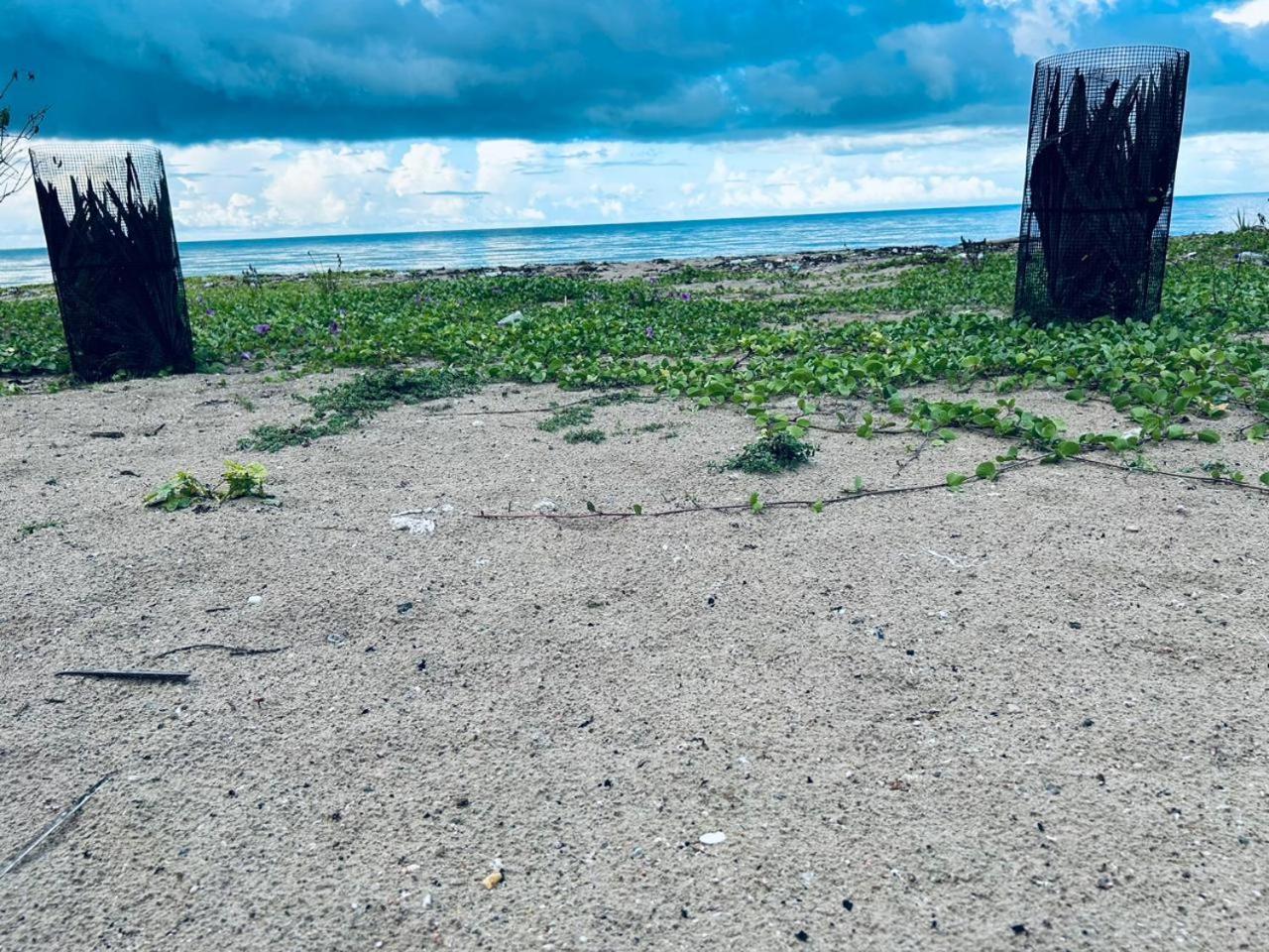 Delft Jeyam Resorts Delft East Eksteriør bilde